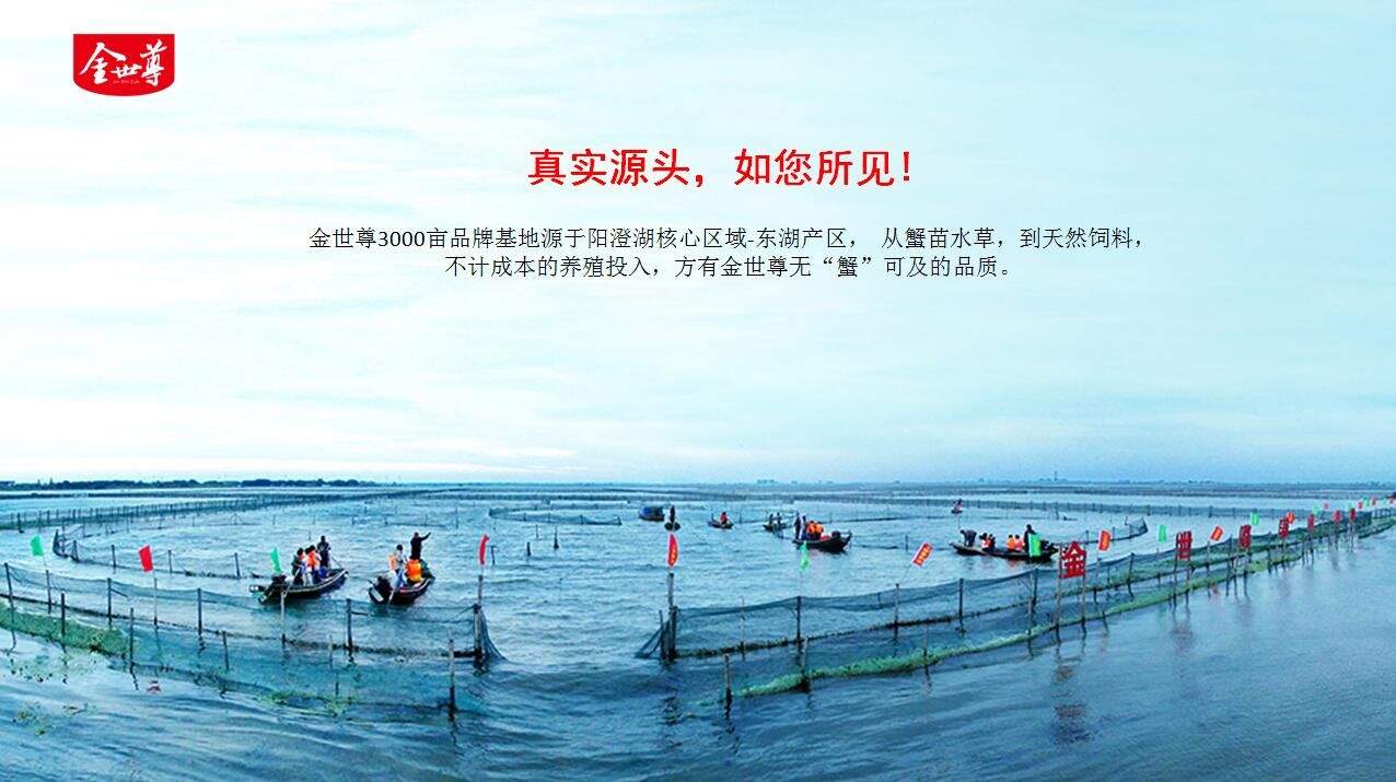金世尊大闸蟹07.jpg