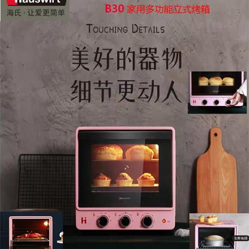 海氏蒸汽嫩烤立式烤箱